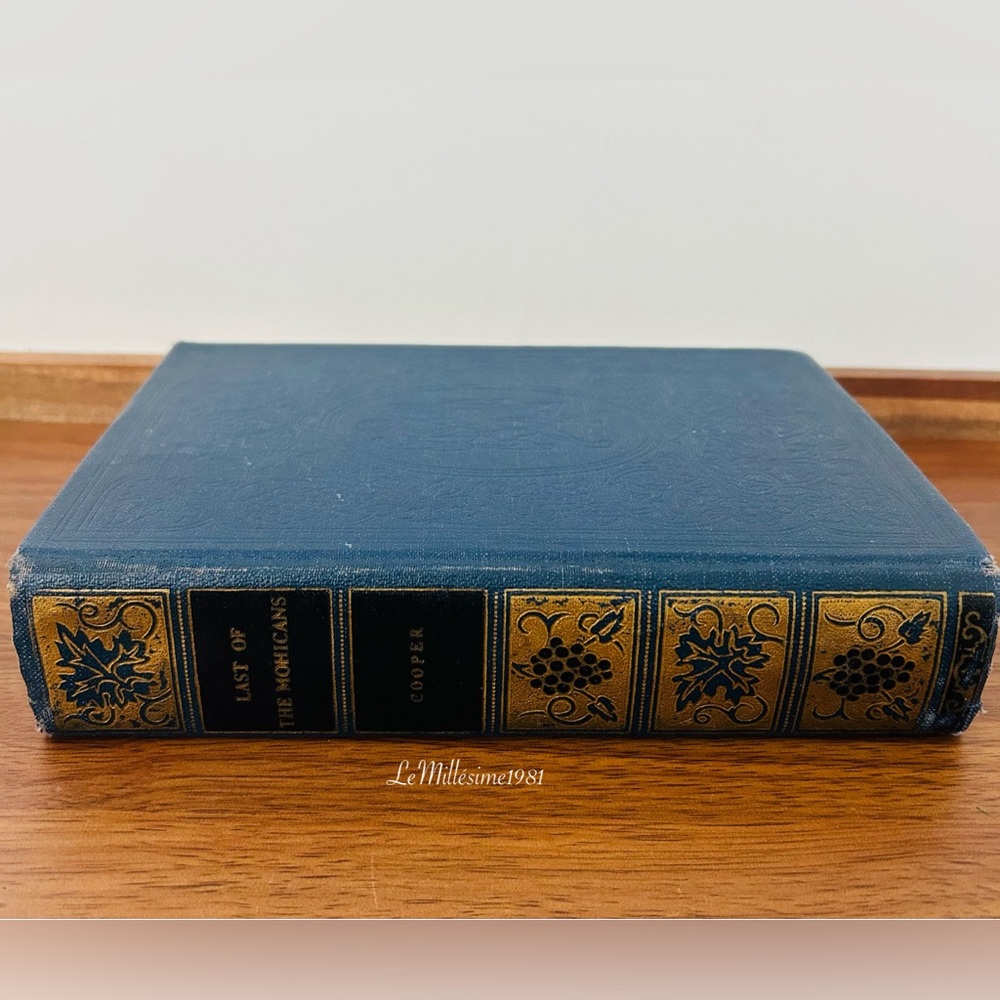 VTG THE LAST OF THE MOHICANS BOOK